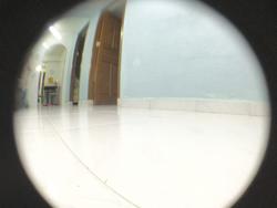 Blk 85 Whampoa Drive (Kallang/Whampoa), HDB 3 Rooms #121509972